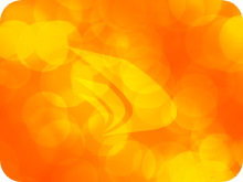 Standard Profil'e Teknik Gezi